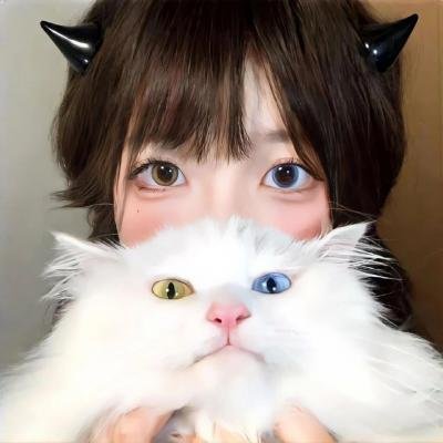 铁血剑客